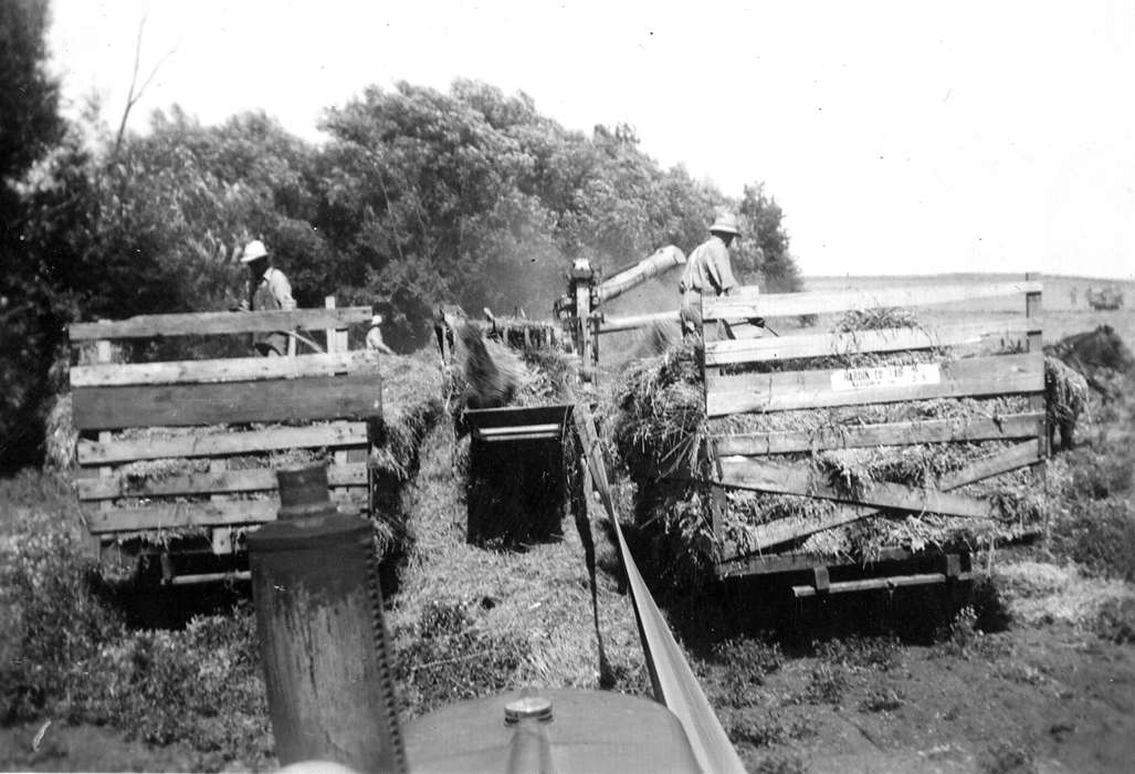 farmer, harvest, Farming Equipment, history of Iowa, New Providence, IA, Iowa History, field, hay, Klinefelter, Mary, Iowa, Farms
