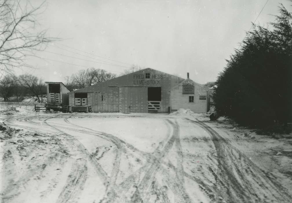 history of Iowa, Waverly Public Library, Iowa, Winter, Iowa History, Farms, correct date needed, IA, Labor and Occupations