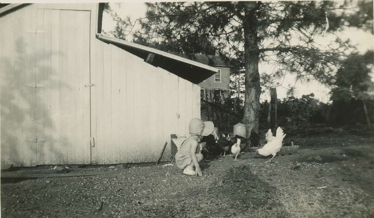 history of Iowa, chicken, Iowa History, Animals, chickens, Rogers, Rose Frantz, chicken coop, Iowa, Farms, Children, bird, Riverside, IA
