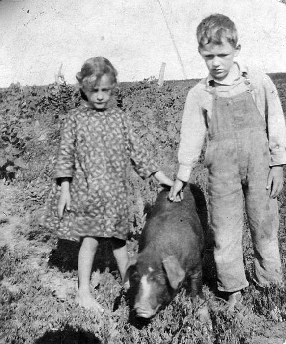 pig, Portraits - Group, Animals, Eldora, IA, Iowa History, Iowa, Klinefelter, Mary, hog, Farms, Outdoor Recreation, Children, history of Iowa