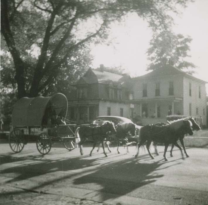 Animals, wagon, Cities and Towns, Iowa History, Iowa, Story, Kim, carriage, horse, Des Moines, IA, history of Iowa