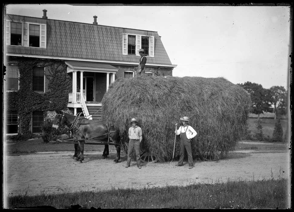 men, history of Iowa, Iowa History, hay, pitchfork, Storrs, CT, Archives & Special Collections, University of Connecticut Library, Iowa, house, horse