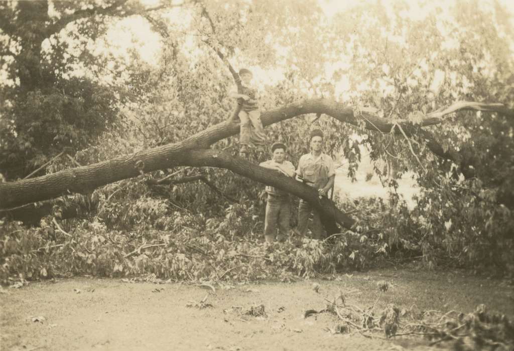 Portraits - Group, history of Iowa, Iowa History, Mortenson, Jill, weather, Iowa, tree, Ackley, IA