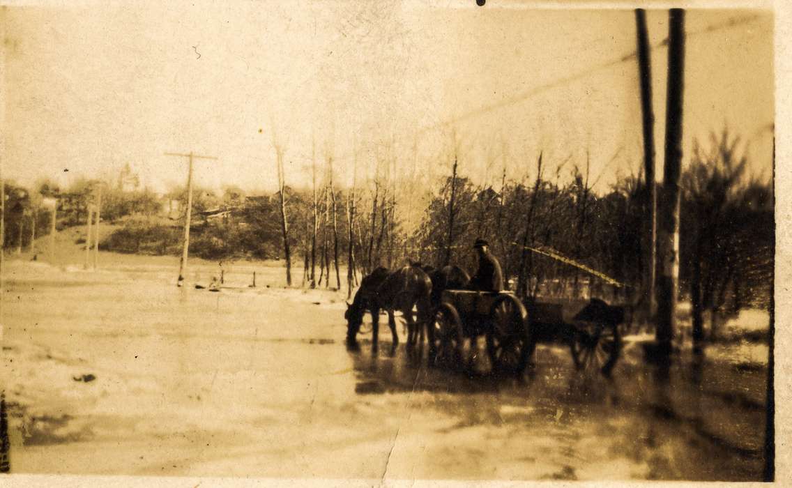 history of Iowa, Iowa History, Winter, Animals, Anamosa Library & Learning Center, wagon, Iowa, Anamosa, IA, horse