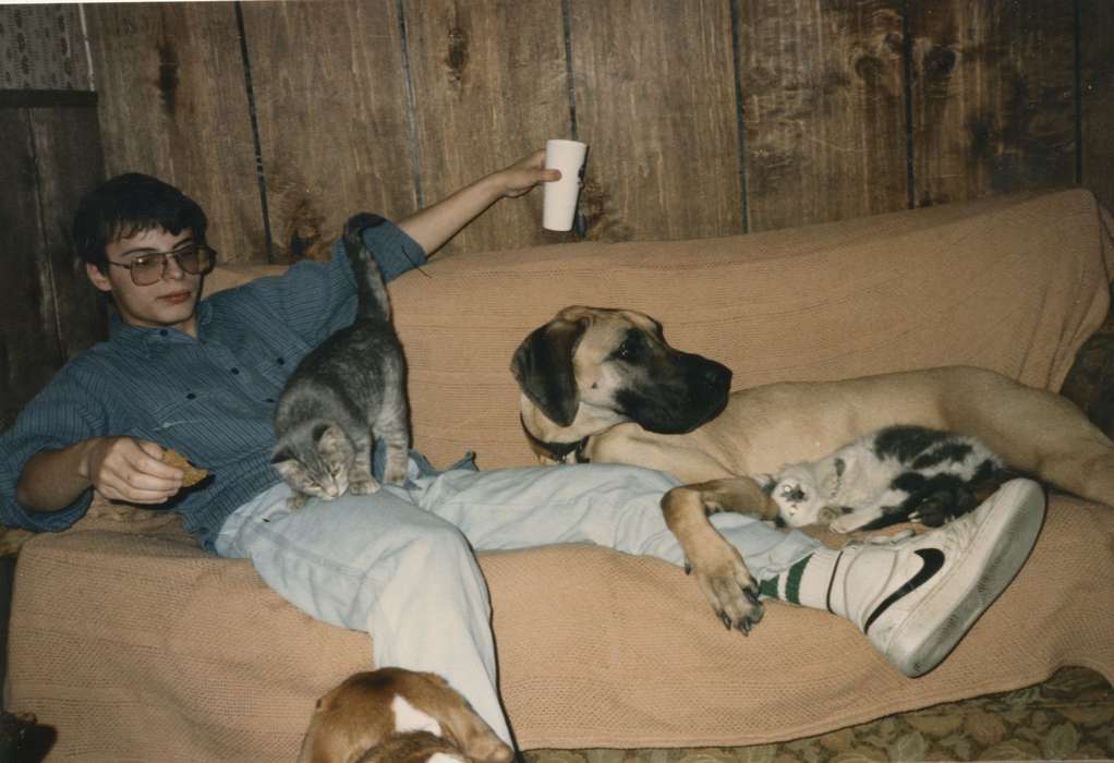 cat, pets, dogs, history of Iowa, Iowa History, Animals, couch, great dane, Iowa, boy, Olsson, Ann and Jons, Waterloo, IA, Leisure, Portraits - Individual