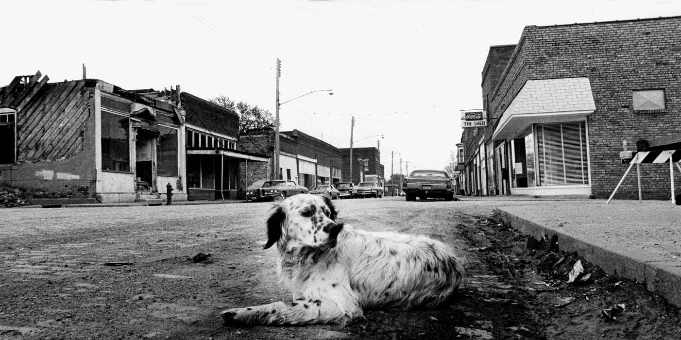 Main Streets & Town Squares, history of Iowa, Iowa History, Lemberger, LeAnn, Motorized Vehicles, downtown, Animals, car, Mystic, IA, Iowa, Cities and Towns, street, dog
