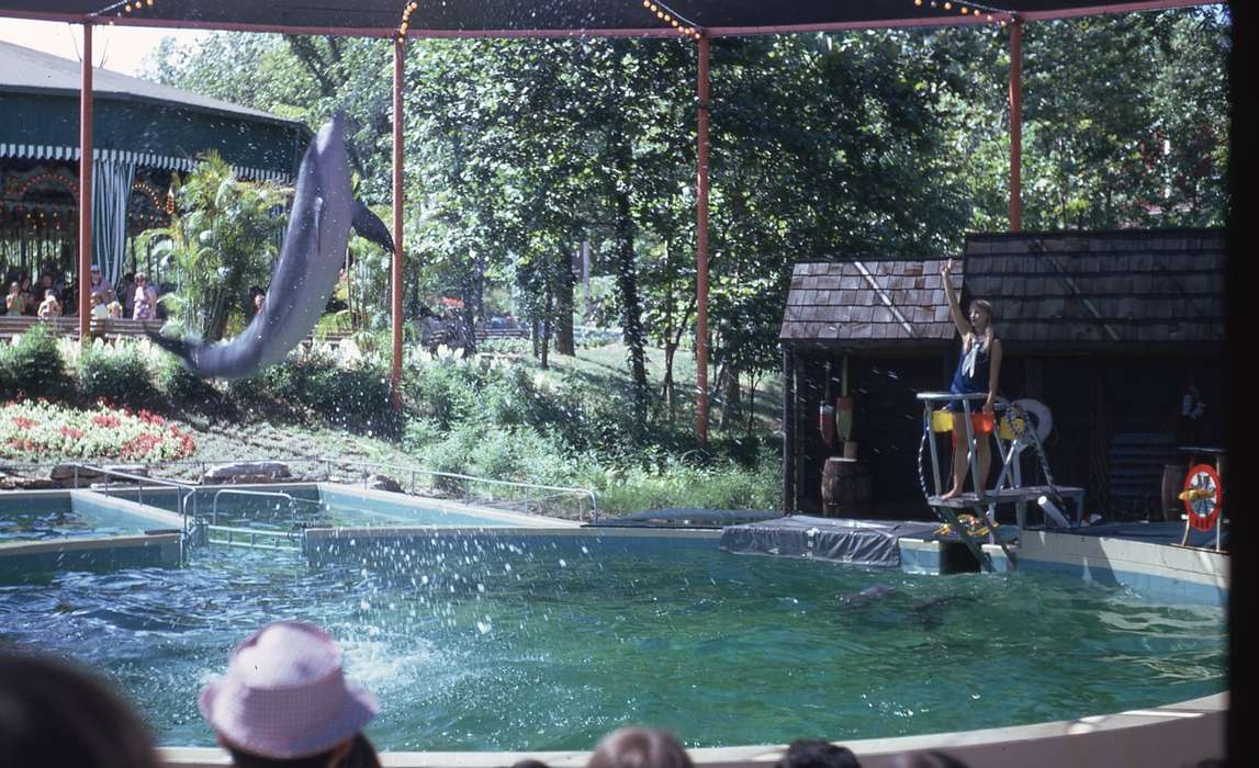 history of Iowa, Iowa History, IA, Animals, dolphin, Iowa, Zischke, Ward, zoo