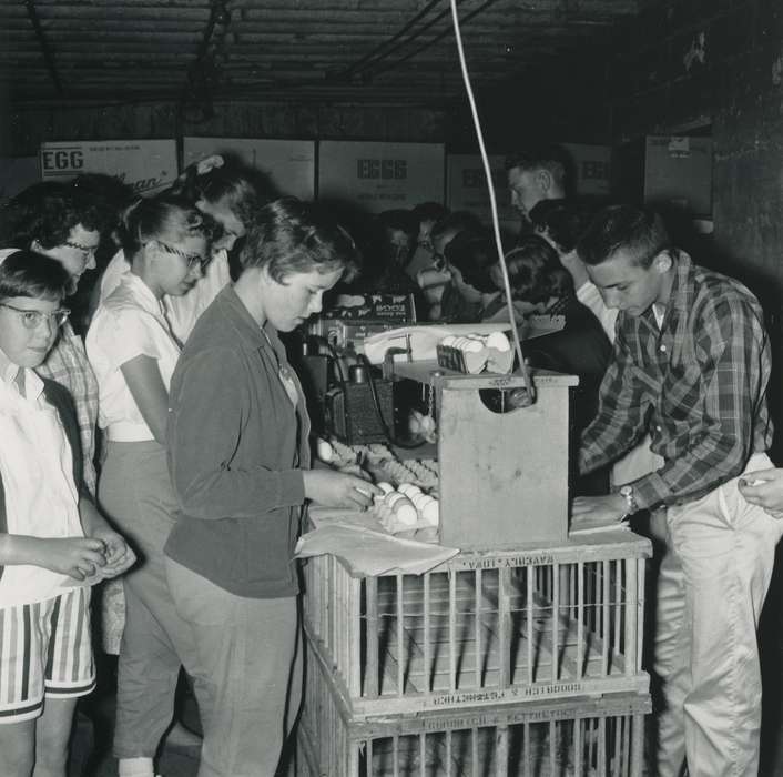 children, Iowa History, Waverly Public Library, Children, Iowa, Farms, history of Iowa, eggs, IA