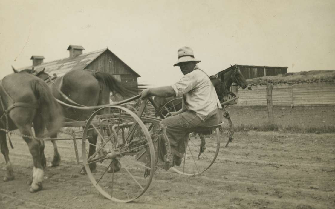 Farming Equipment, history of Iowa, Iowa History, IA, Animals, McVey, Michael and Tracy, Iowa, carriage, Farms, horse