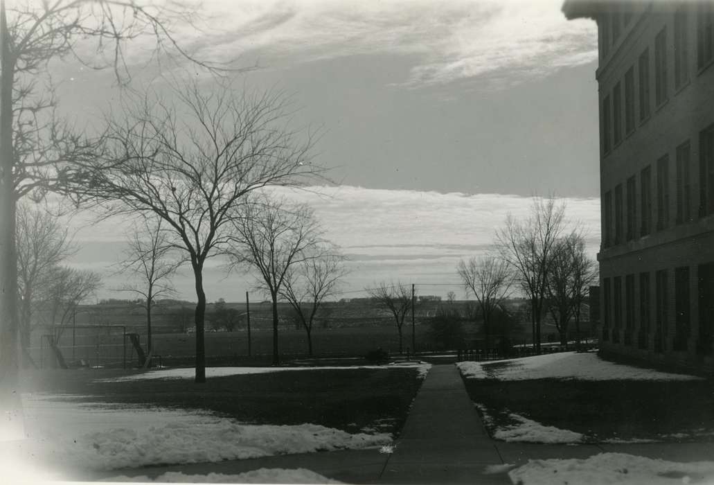 Cedar Falls, IA, history of Iowa, Iowa History, Winter, uni, iowa state teachers college, UNI Special Collections & University Archives, Iowa, tree, Schools and Education, university of northern iowa