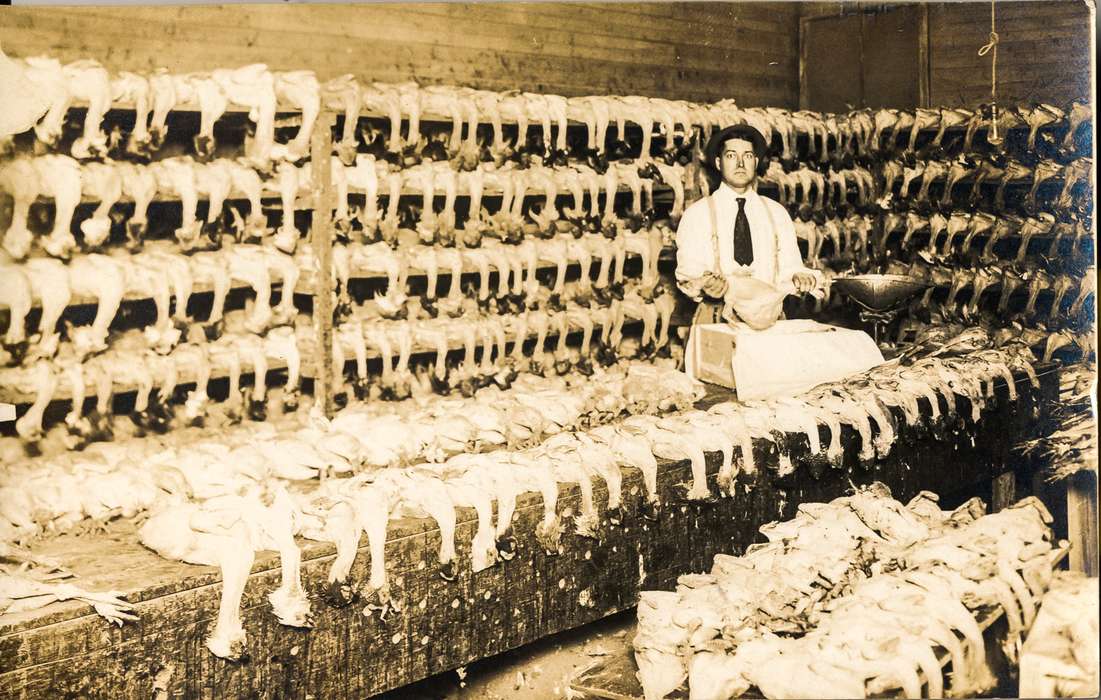 history of Iowa, butcher, Portraits - Individual, Iowa History, meat, Businesses and Factories, chickens, Anamosa Library & Learning Center, Iowa, Anamosa, IA, Labor and Occupations