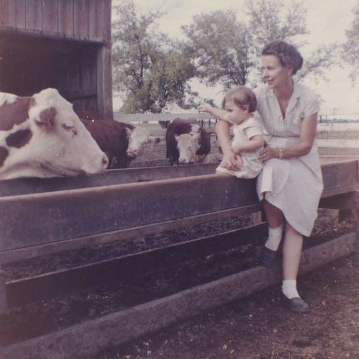 Iowa History, Children, Iowa, Farms, history of Iowa, cow, Animals, Karns, Mike, Families, Mount Vernon, IA