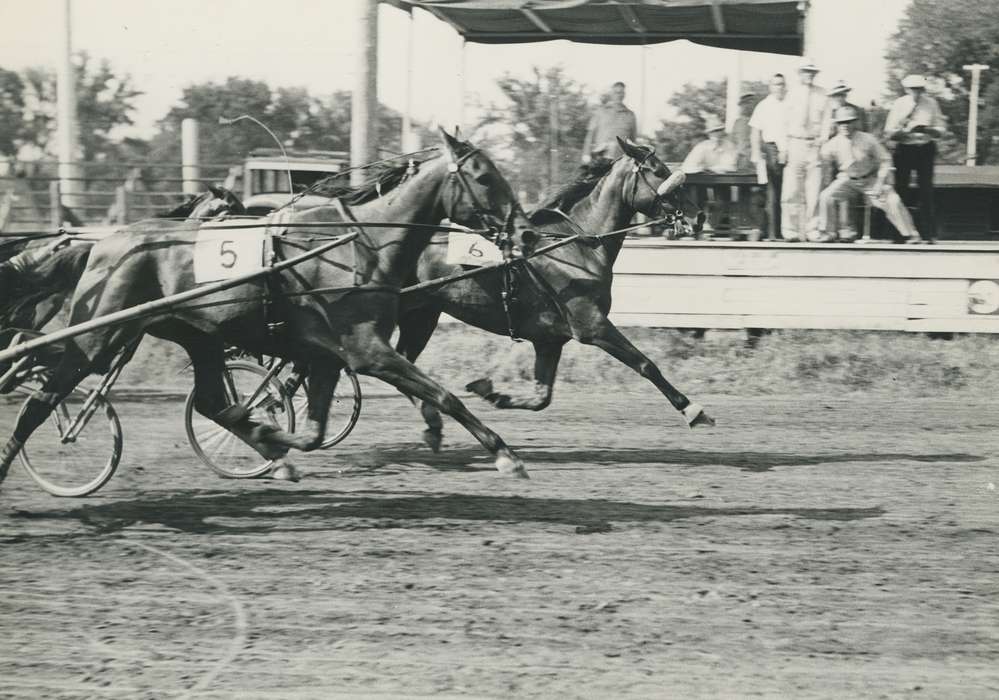 history of Iowa, Iowa History, Entertainment, Animals, Waverly, IA, Iowa, correct date needed, finish line, Waverly Public Library, dirt track, horse race