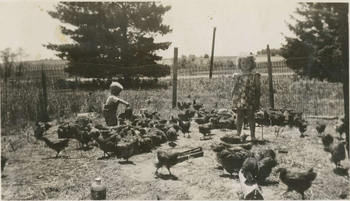 history of Iowa, chicken, Iowa History, Families, Animals, Newhall, Rich and Sue, Children, Iowa, Farms, Radcliffe, IA, Leisure, Portraits - Individual