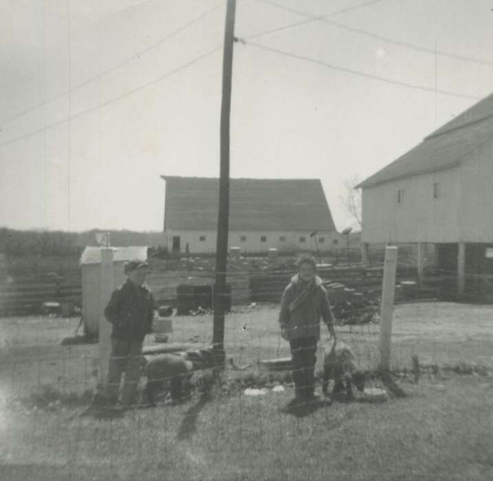 Animals, Iowa History, sheep, Iowa, Cedar Rapids, IA, Farms, Vislisel, Dorothy, Children, history of Iowa