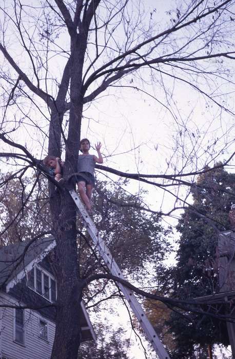 Portraits - Group, history of Iowa, Iowa History, trees, Iowa, Zischke, Ward, Outdoor Recreation, USA, correct date needed, ladder, Children