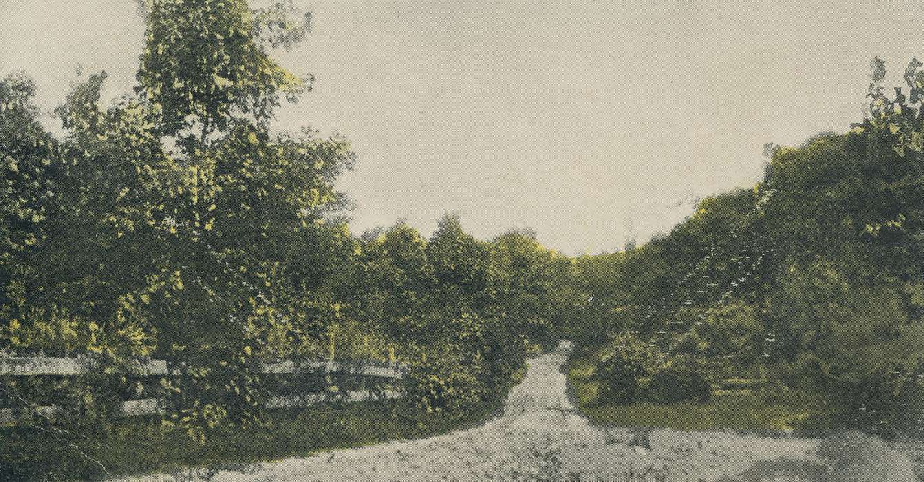 trees, Landscapes, Iowa, flowers, Meyer, Sarah, wooden fence, history of Iowa, Waverly, IA, dirt road, Iowa History