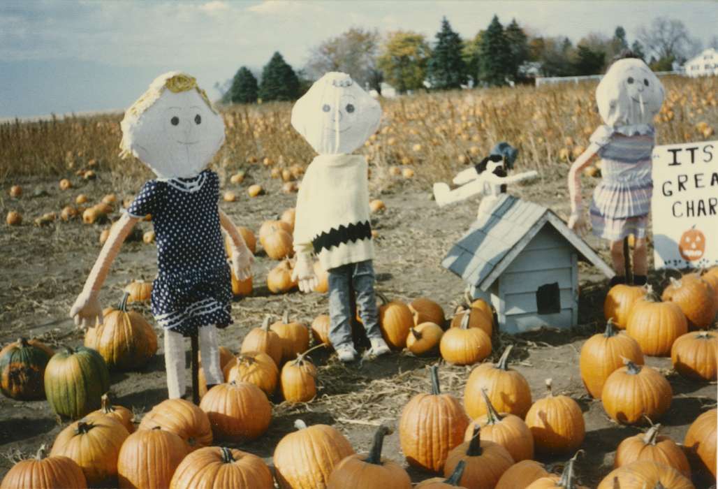 IA, Bancroft, Cynthia, pumpkin, history of Iowa, Farms, Iowa, scarecrow, pumpkin patch, halloween, Iowa History