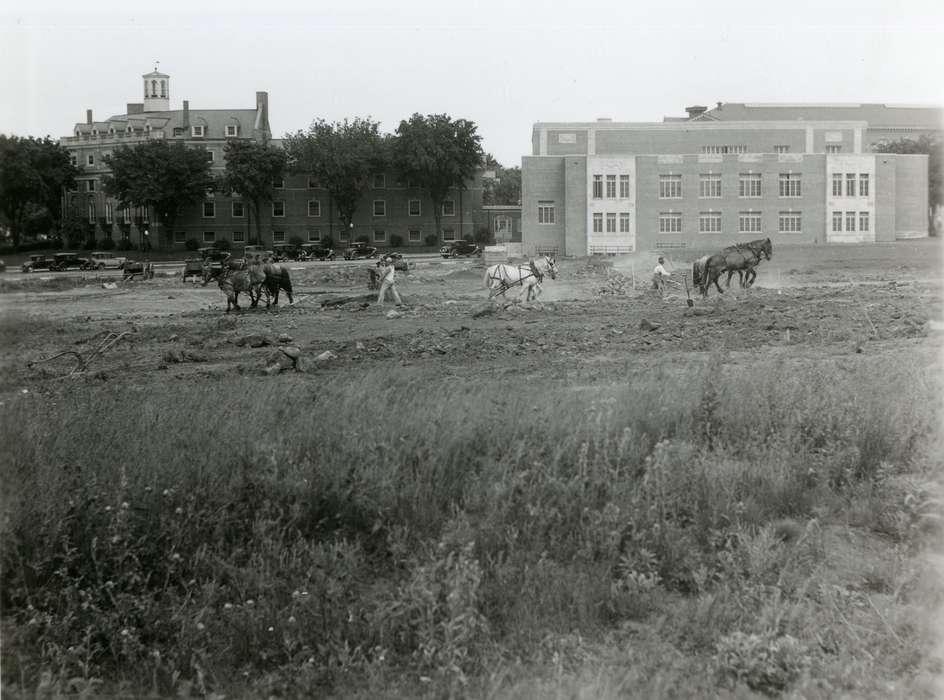 UNI Special Collections & University Archives, construction, commons, construction crew, history of Iowa, iowa state teachers college, Animals, Iowa, uni, Cedar Falls, IA, Labor and Occupations, horse, Iowa History, university of northern iowa, Schools and Education