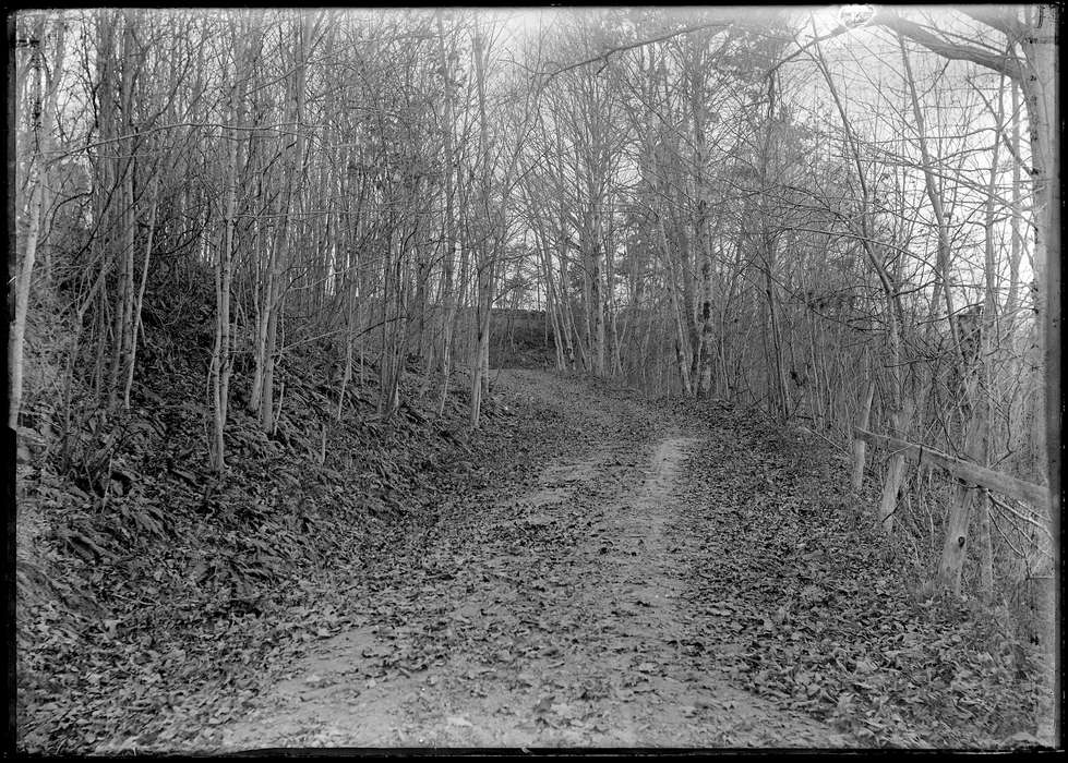 history of Iowa, Iowa History, Chaffeeville, CT, road, Archives & Special Collections, University of Connecticut Library, Iowa, tree, dirt