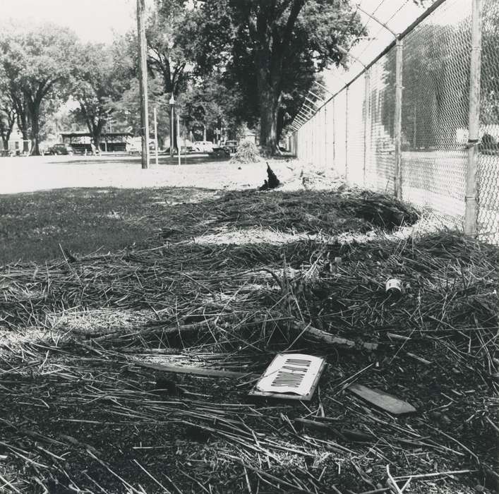 summer, sign, history of Iowa, Landscapes, Waverly Public Library, Waverly, IA, Iowa, fence, debris, Iowa History, Floods, flood aftermath, tree