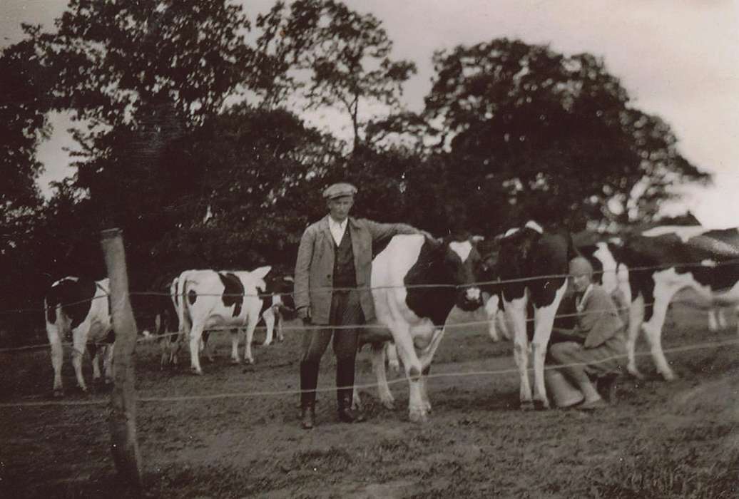 Germany, cattle, Clark, Blake, history of Iowa, cows, Farms, Animals, Iowa, correct date needed, Portraits - Individual, milking bucket, fence, man, Iowa History, wire