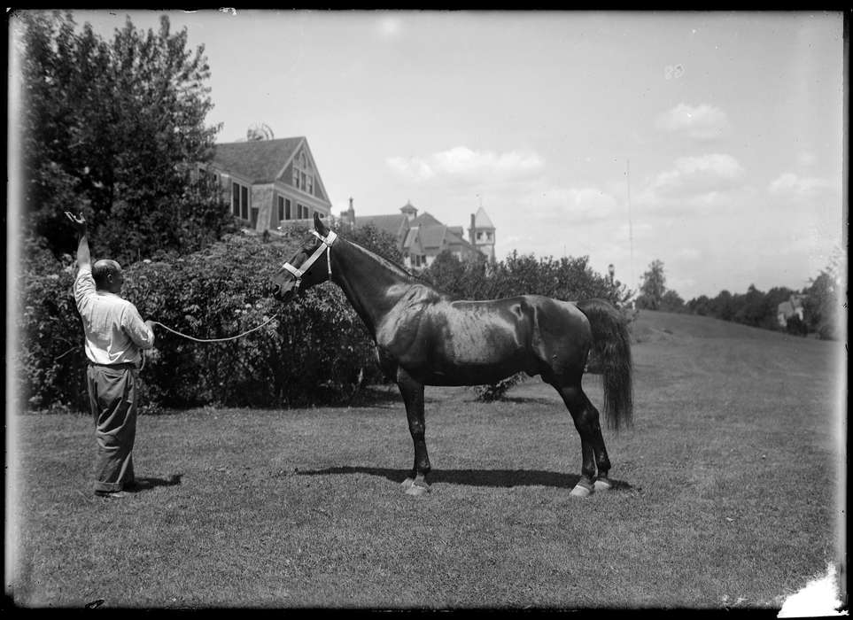 Iowa, Storrs, CT, horse, house, Archives & Special Collections, University of Connecticut Library, man, history of Iowa, Iowa History