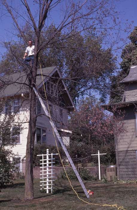history of Iowa, Portraits - Individual, IA, Iowa History, tree, backyard, Iowa, Zischke, Ward, Outdoor Recreation, ladder, Labor and Occupations
