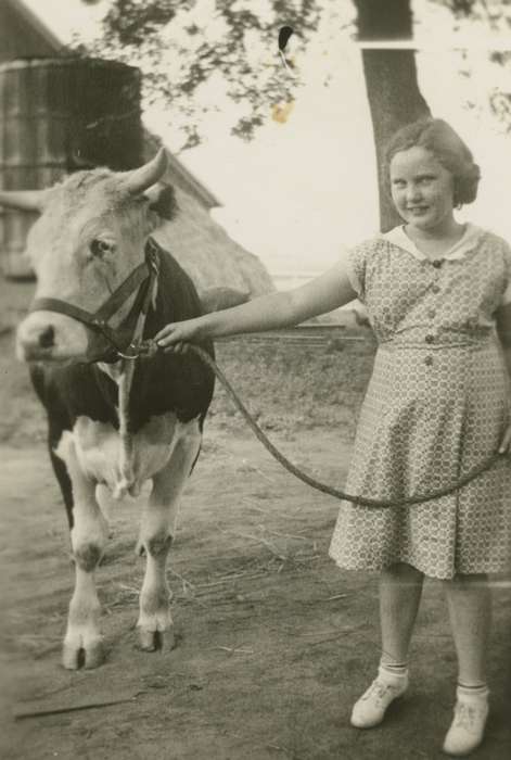 Portraits - Group, history of Iowa, Iowa History, calf, girl, Bull, Ardith, Animals, Dysart, IA, child, Fairs and Festivals, Iowa, cow, Farms