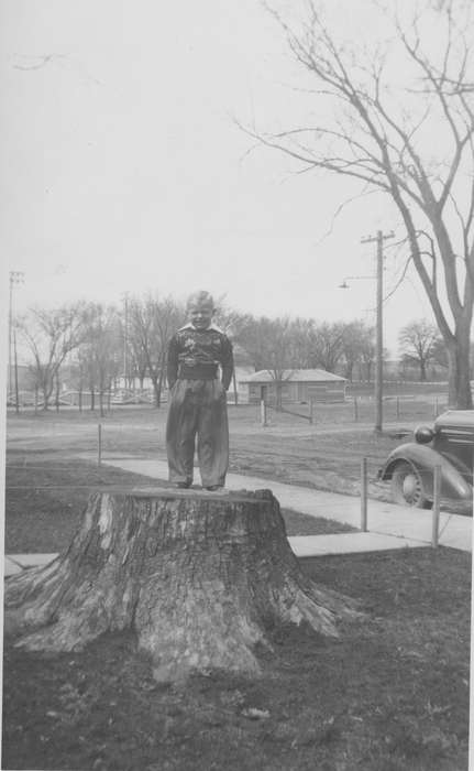 boy, Iowa, Children, Cigrand, Mariann, Portraits - Individual, Freeport, IL, history of Iowa, Iowa History, tree stump