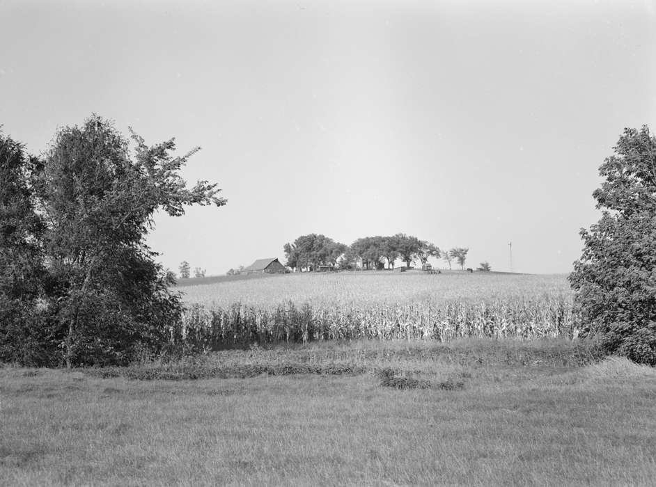 homestead, red barn, Library of Congress, history of Iowa, Farms, Barns, Iowa, trees, windmill, cornfield, Iowa History, Landscapes