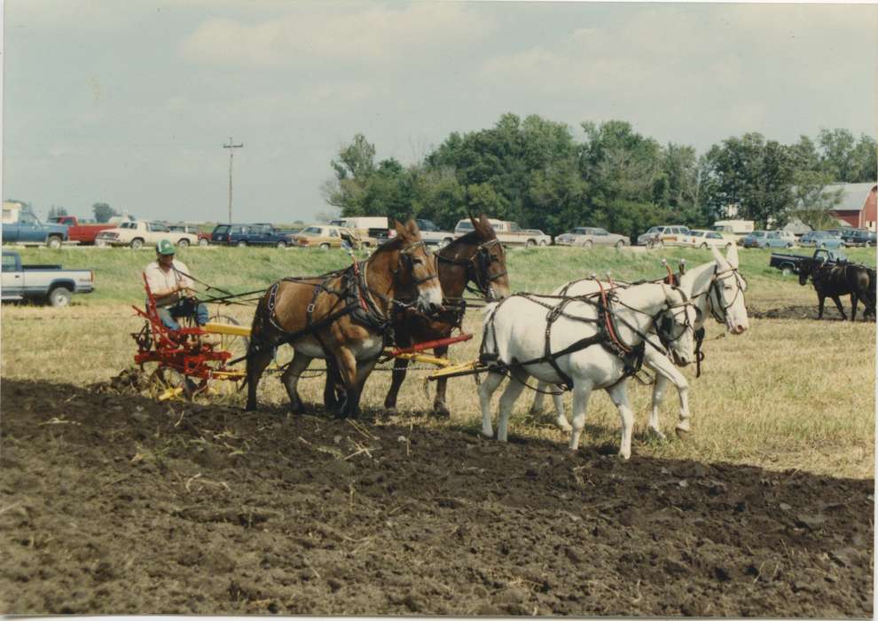 Farming Equipment, history of Iowa, contest, cars, Iowa History, Motorized Vehicles, Animals, Fairs and Festivals, plow, Cresco, IA, Newhall, Rich and Sue, Iowa, Farms, horse