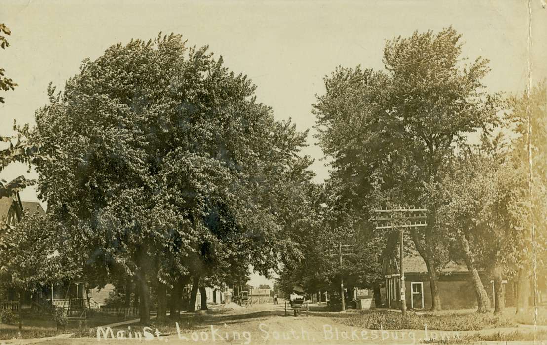 Blakesburg, IA, Cities and Towns, Lemberger, LeAnn, Iowa History, Iowa, carriage, history of Iowa, power line, tree