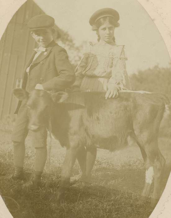 Iowa, Animals, calf, newsboy cap, children, Children, Meyer, Sarah, Barns, knickers, pleats, history of Iowa, beret, Waverly, IA, Iowa History