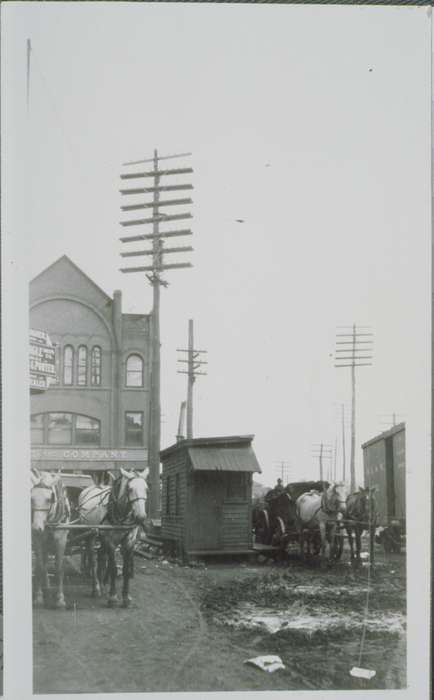 street, history of Iowa, Danbury, CT, Iowa, horse, Iowa History, wagon, Archives & Special Collections, University of Connecticut Library