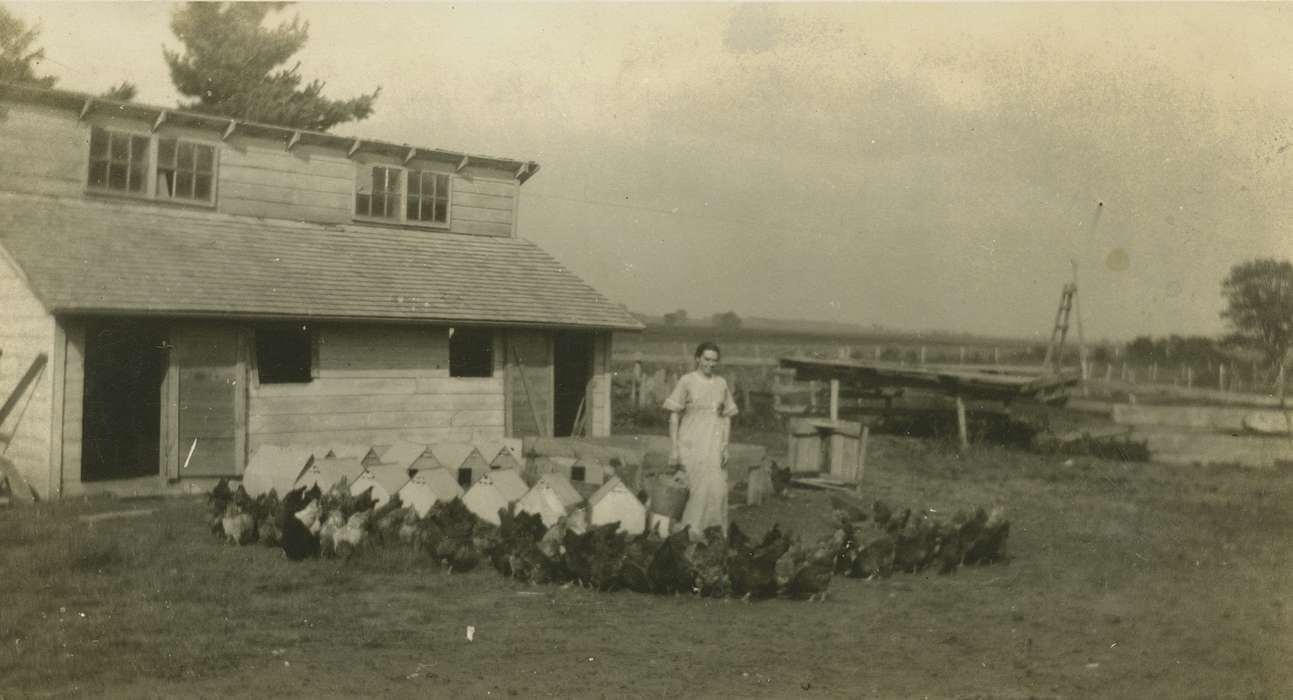 West Liberty, IA, history of Iowa, farmer, Farms, Barns, chicken coop, Animals, window, Iowa, Meyers, Peggy, correct date needed, chicken, fence, Iowa History