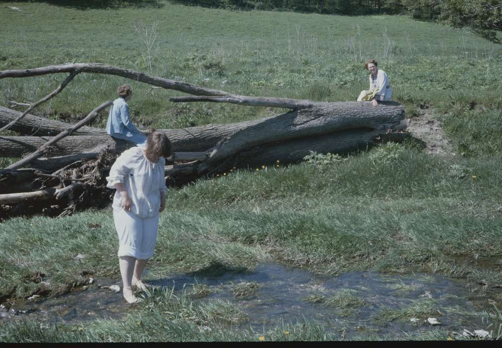 Iowa, fields, IA, correct date needed, Zischke, Ward, history of Iowa, Iowa History