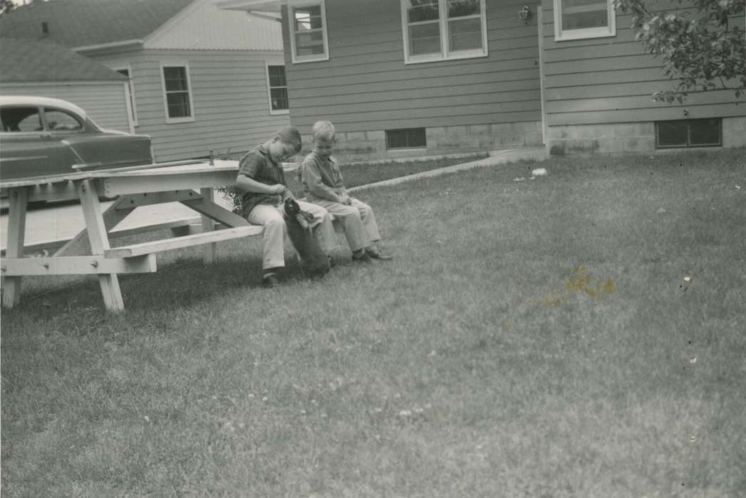 rabbit, Iowa History, history of Iowa, picnic table, Animals, Iowa, Roquet, Ione, Children, Des Moines, IA