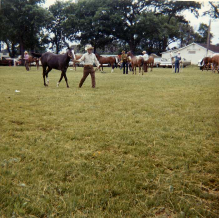 Outdoor Recreation, horse show, Iowa, Animals, Webster City, IA, Olsson, Ann and Jons, horses, fairgrounds, history of Iowa, Iowa History