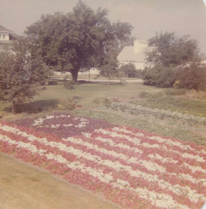 flag, history of Iowa, flowers, Iowa History, Holidays, Ely, IA, Iowa, Farms, Karns, Mike