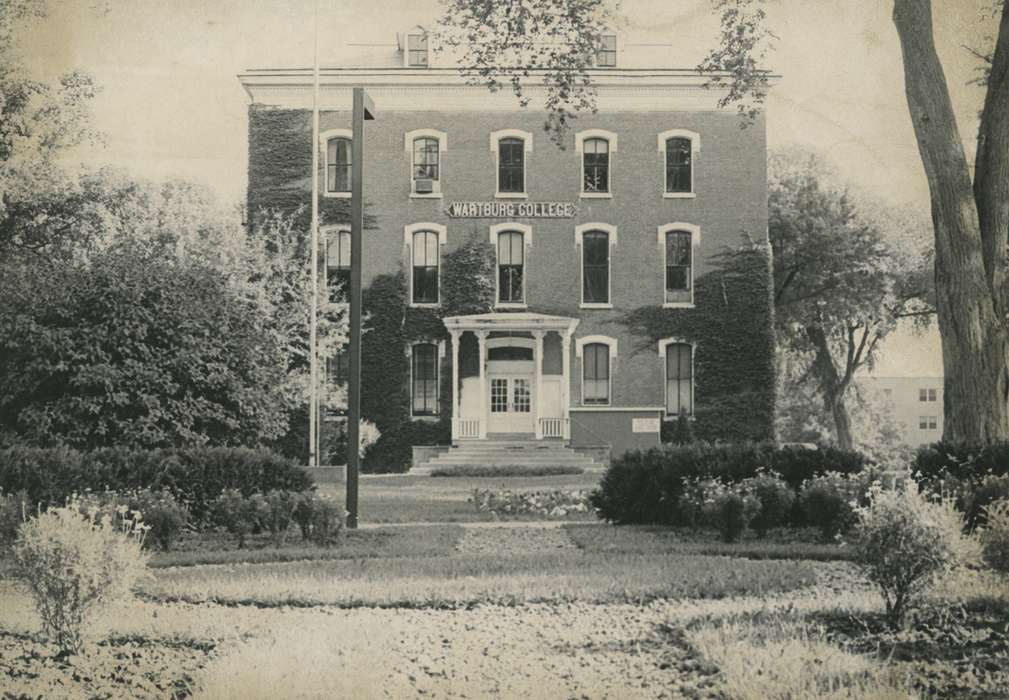 history of Iowa, window, stairs, Waverly Public Library, Waverly, IA, Iowa, entrance, wartburg college, building, wartburg, Iowa History, Schools and Education, Cities and Towns, tree