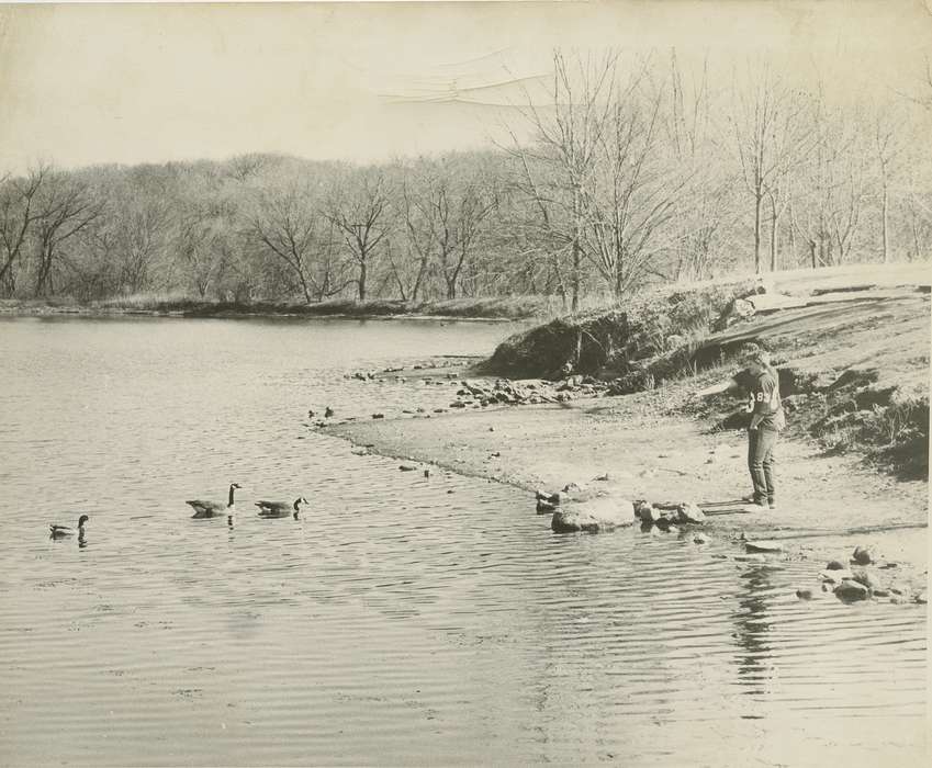 Children, history of Iowa, Waverly Public Library, Waverly, IA, tree, Iowa, Leisure, pond, geese, rock, goose, Iowa History, Lakes, Rivers, and Streams, Animals