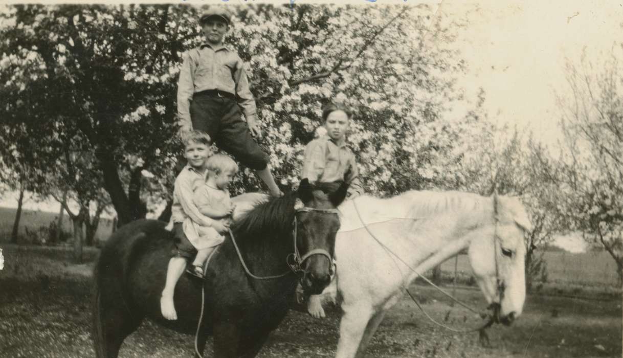Portraits - Group, history of Iowa, Iowa History, Families, Animals, Saathoff, Drucinda, Gilmore City, IA, Outdoor Recreation, Iowa, Farms, horse, Children