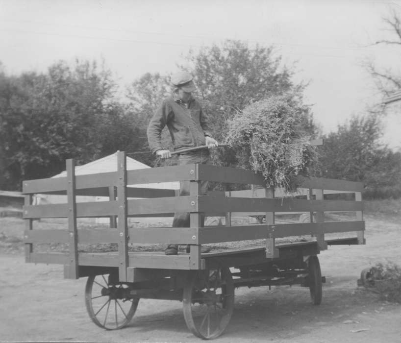 Farming Equipment, Iowa History, hay, Mallow, Christine, Iowa, Farms, history of Iowa, Labor and Occupations, wagon, Danbury, IA