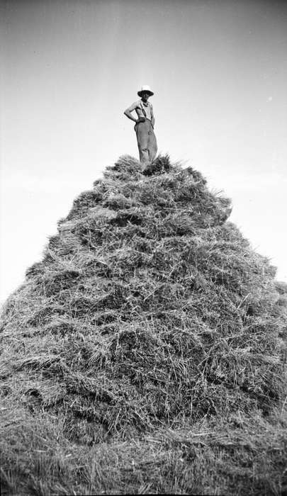 history of Iowa, Neola, IA, Farms, Iowa, Portraits - Individual, wheat, Dawson, Kathy, harvest, Iowa History