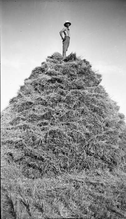 harvest, Neola, IA, history of Iowa, Iowa History, wheat, Dawson, Kathy, Iowa, Farms, Portraits - Individual
