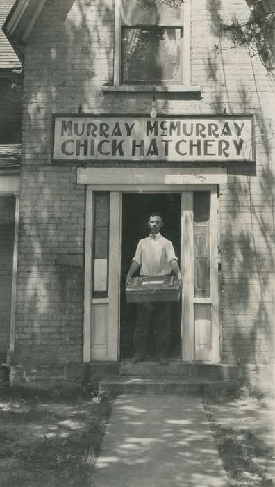 history of Iowa, hatchery, Portraits - Individual, Iowa History, Webster City, IA, Businesses and Factories, Animals, Iowa, McMurray, Doug, Labor and Occupations