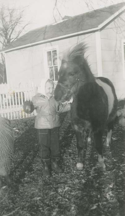 Animals, Iowa History, Iowa, horse, Farms, history of Iowa, Bull, Ardith, Children, Dysart, IA