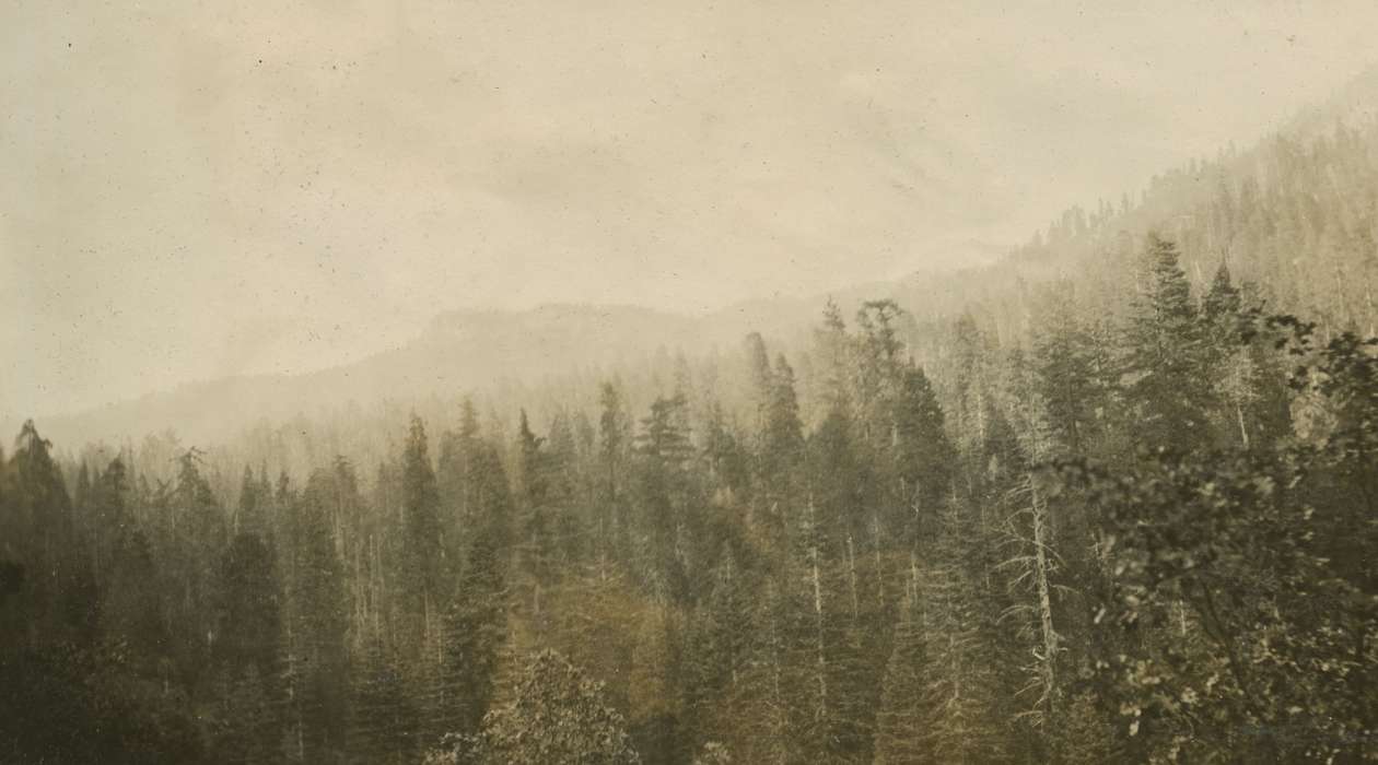 Travel, sequoia and kings canyon national park, history of Iowa, Iowa History, national park, Iowa, Hume, CA, Landscapes, McMurray, Doug