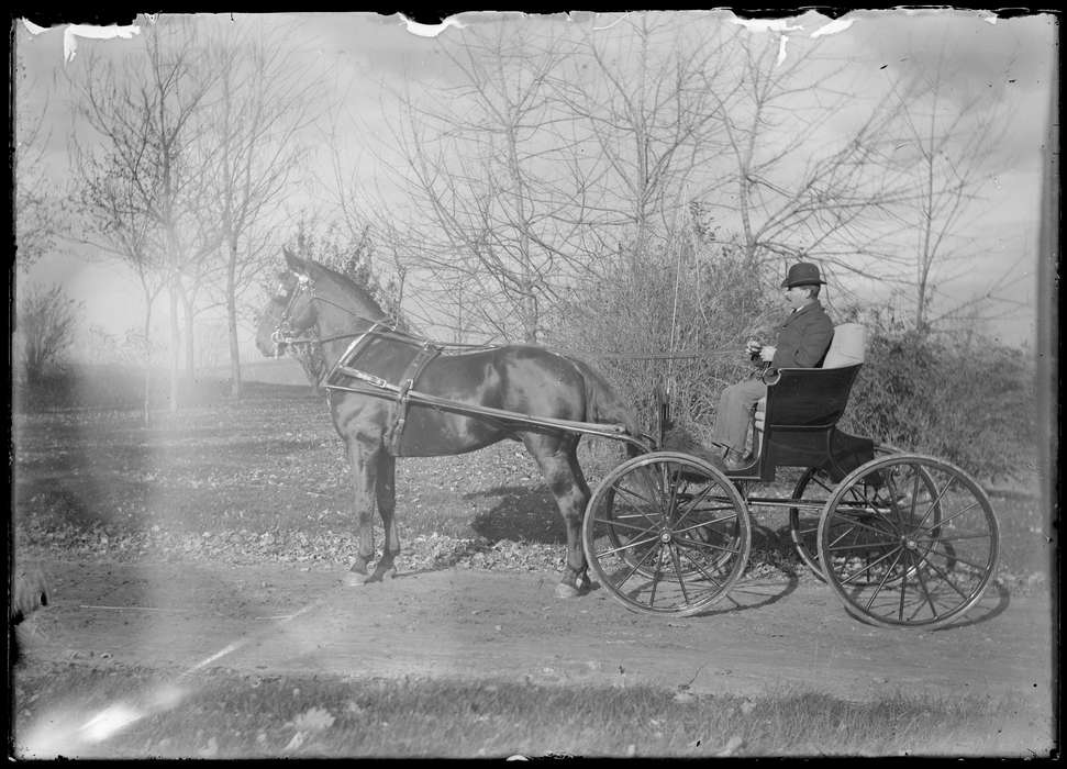 dirt, Iowa, Storrs, CT, horse, road, Archives & Special Collections, University of Connecticut Library, man, history of Iowa, Iowa History, wagon